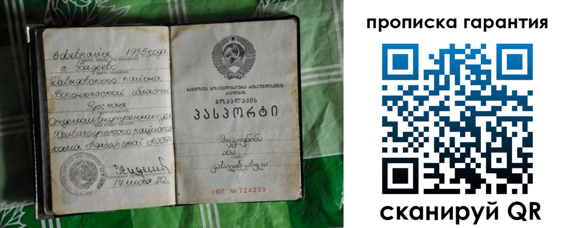 временная регистрация гарантия в Могочи